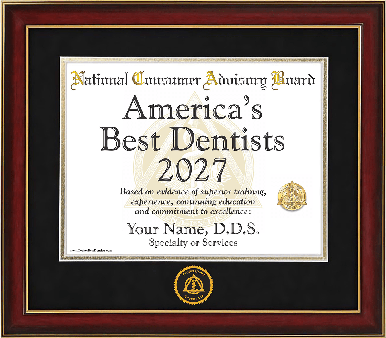 America Best Dentists Plaque 3
